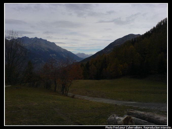 DSC00020.JPG
