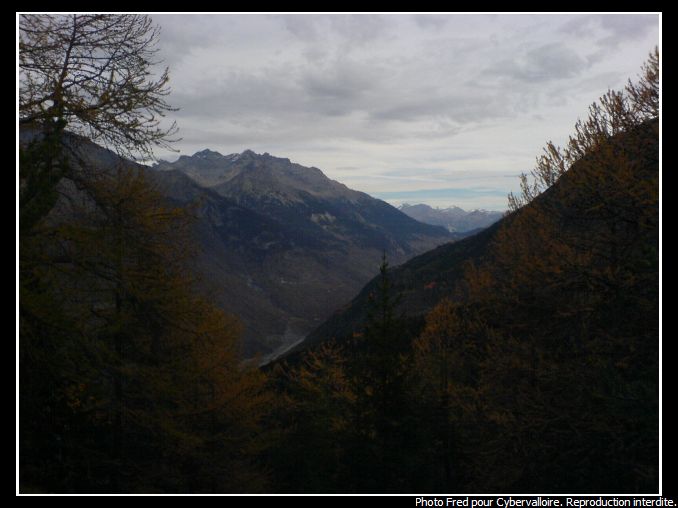 DSC00024.JPG